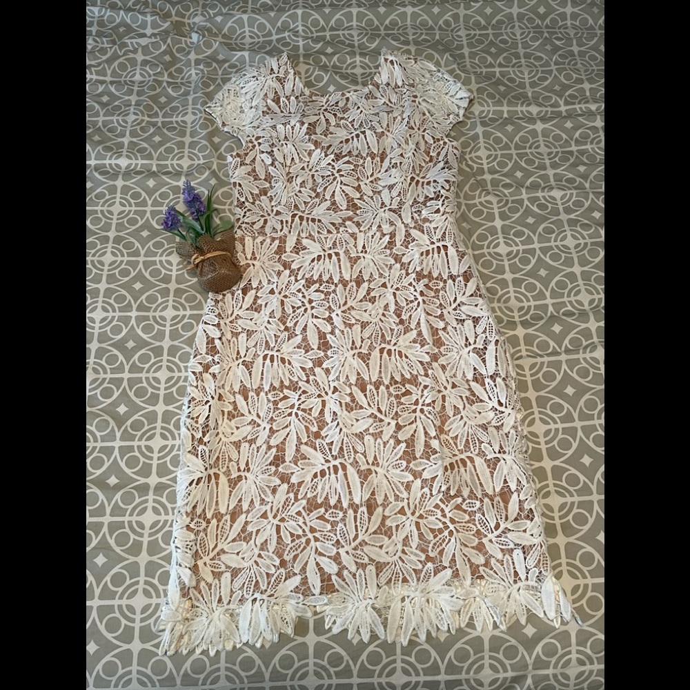 LULU’S RIGHT SHEER, RIGHT NOW - BODYCON DRESS - Picture 10 of 16